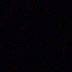 Meet your Posher, Donovan